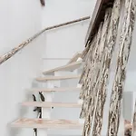 Habitat Cracovie