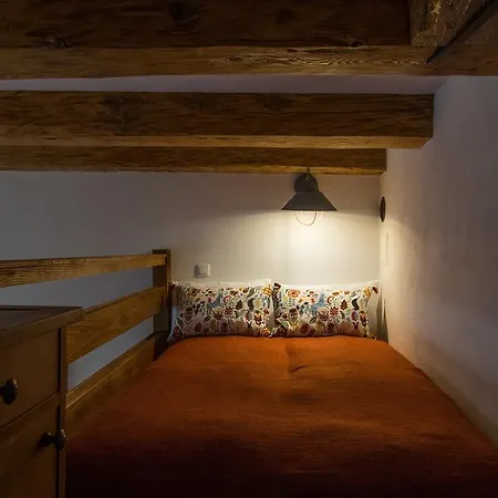 Habitat * Kraków