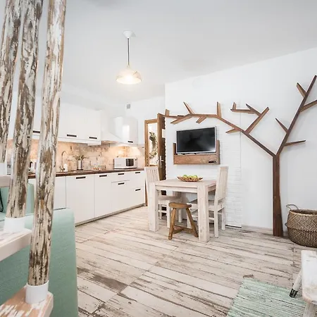 Habitat * Cracovia
